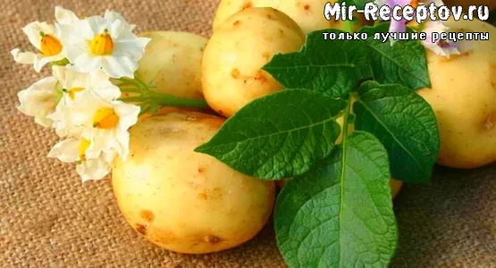 Блюда из картофеля