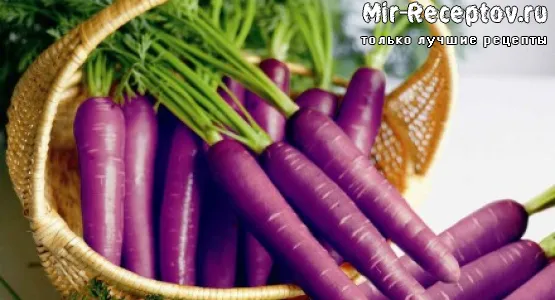 Морковь фиолетовая