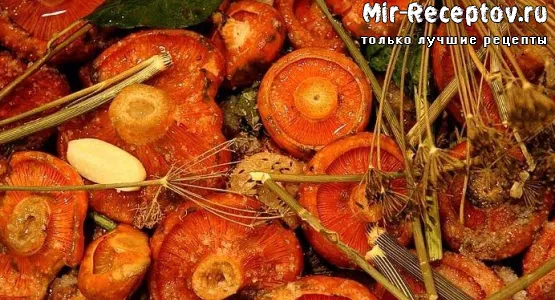 Рыжики, маринованные в собственном соку