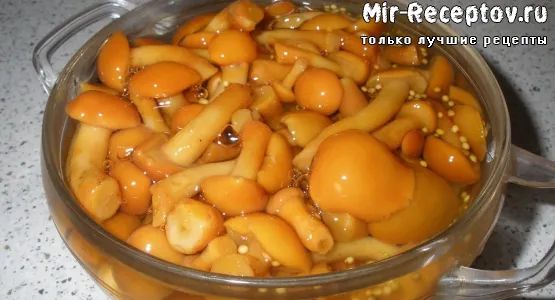 Маслята маринованные