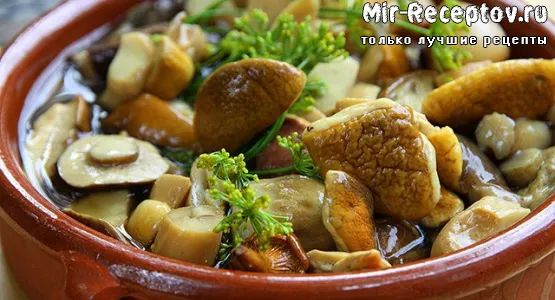 Белые маринованные