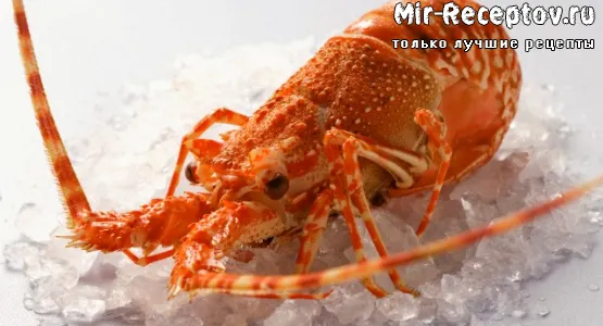 Лангуст (мясо шеек)