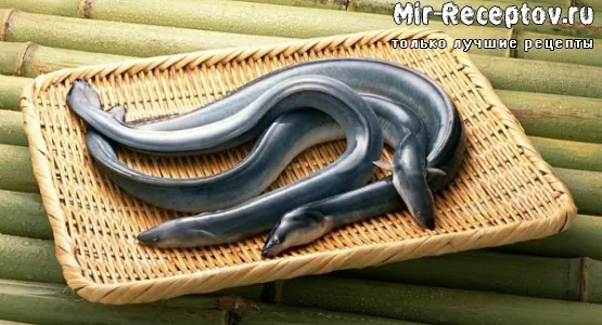 Угорь свежий