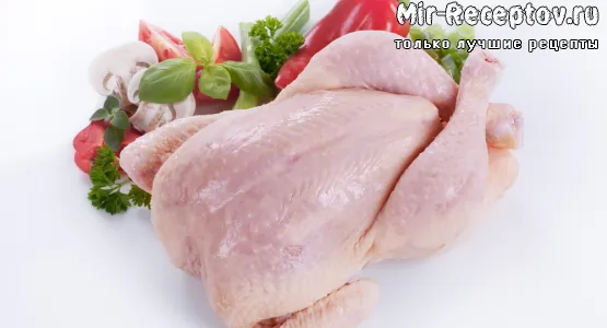 Курица