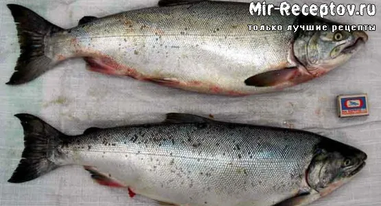 Кижуч