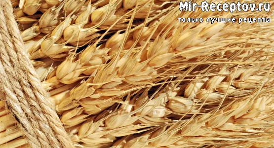 Пшеничные зерна мягких сортов
