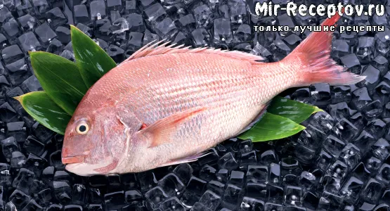 Окунь морской свежий
