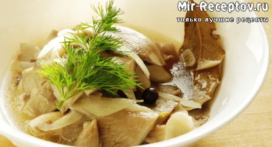 Вешенки маринованные