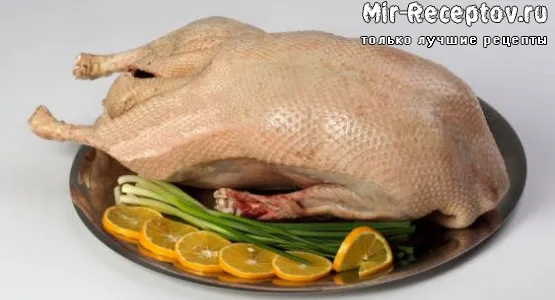 Фазан
