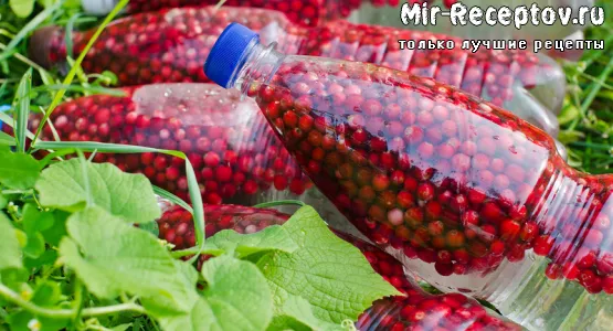 Брусника мочёная