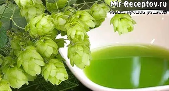 Масло шишек хмеля