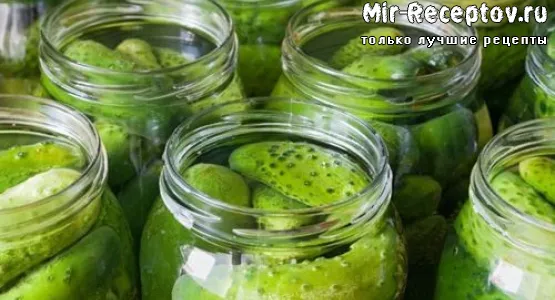 Соление огурцов