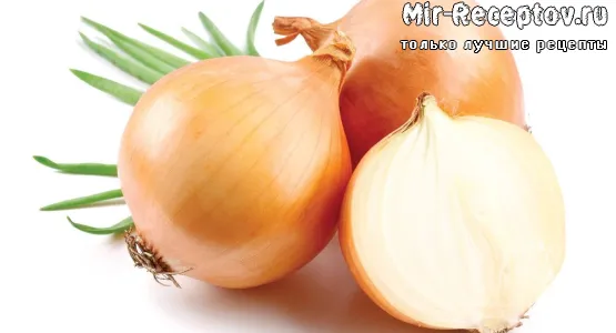 Лук репчатый
