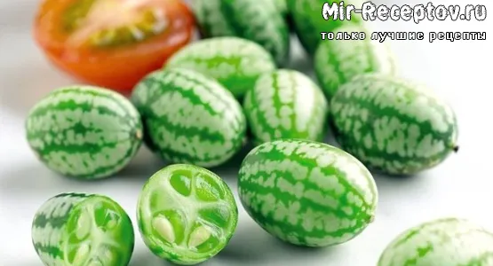 Мелотрия (Африканский огурец)