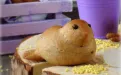 Как приготовить