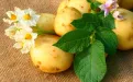 Блюда из картофеля