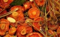 Рыжики, маринованные в собственном соку