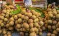 Экзотические фрукты планеты