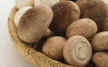 Шиитаке свежие