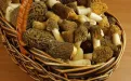 Сморчки свежие