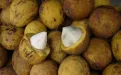 Экзотические фрукты планеты