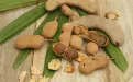 Экзотические фрукты планеты