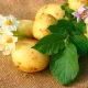 Блюда из картофеля