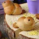 Как приготовить