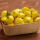 Патиссон консервированный
