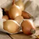 Советы и рекомендации