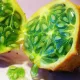 Ангурия (Антильский огурец)