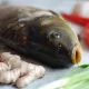 Карп свежий