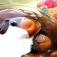 Состав и процесс приготовления