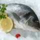 Лещ морской