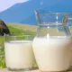 Кумыс из кобыльего молока