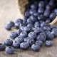 Черника