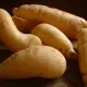 Арракача