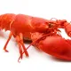 Раки морские вареные