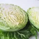 Капуста белокочанная