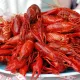 Раки морские свежие