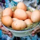 Яйцо куриное