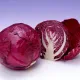 Краснокочанная капуста