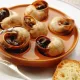 Улитка виноградная