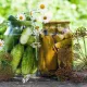 Огурец консервированный