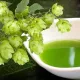 Масло шишек хмеля