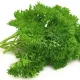 Купырь (кервель)