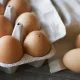 Яйцо куриное (белок)
