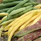 Фасоль спаржевая