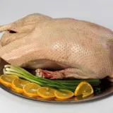Фазан